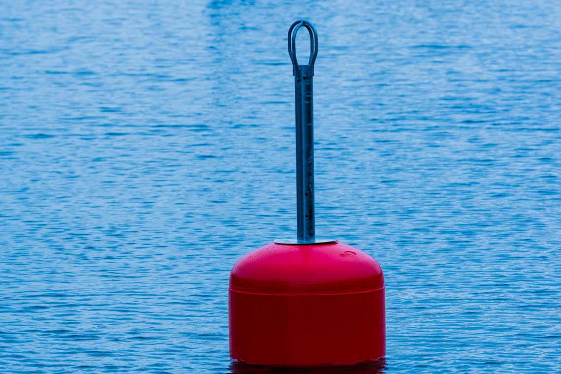 Hur Många Fiskar I 120 Liter